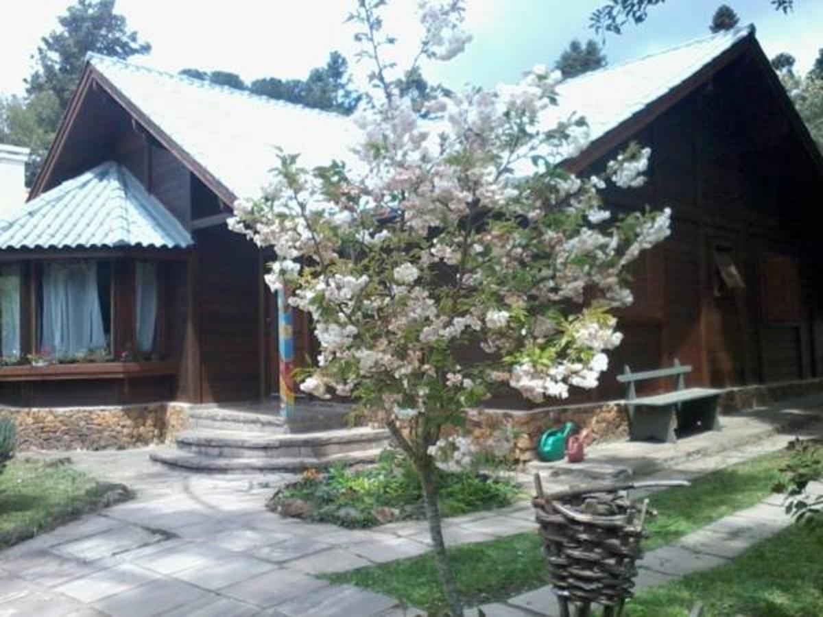 Chale Martinho Villa Gramado Exterior photo