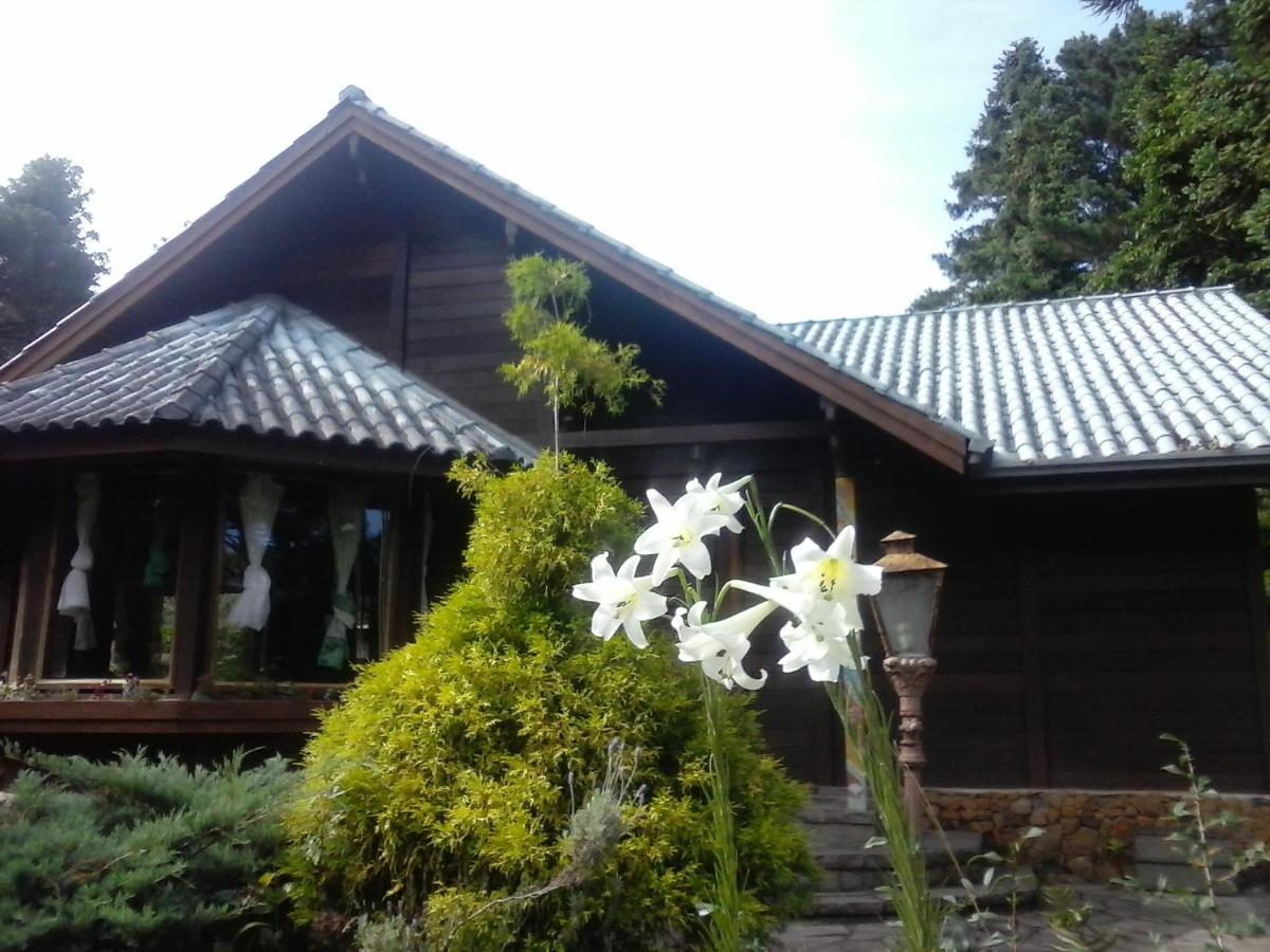 Chale Martinho Villa Gramado Exterior photo